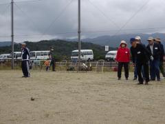alb_506960441m.JPG